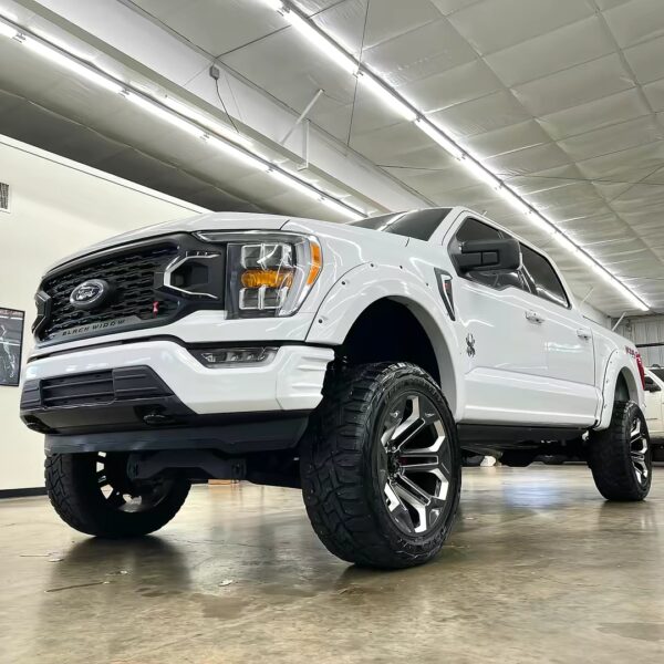 2021 FORD  F-150 BLACK WIDOW - Image 3