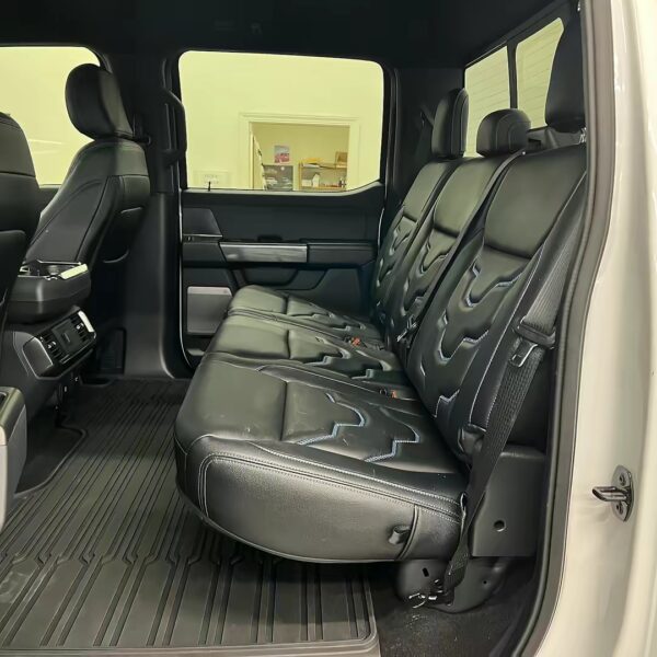 2021 FORD  F-150 BLACK WIDOW - Image 7